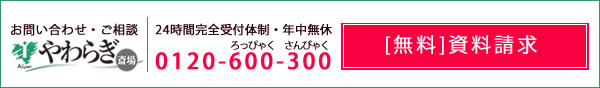 摜炬֏ꎑ